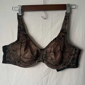 Cacique Lace Bra - Black and Brown